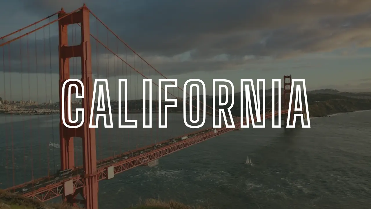 Portrait Artists California