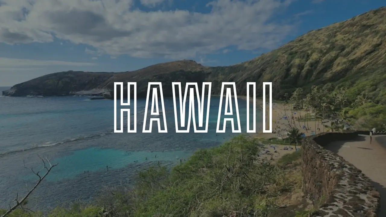 Portrait Artists Hawaii