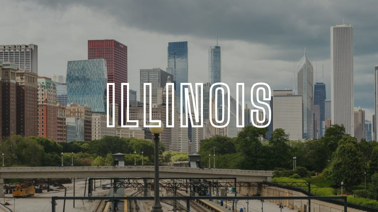 Portrait Artists Illinois