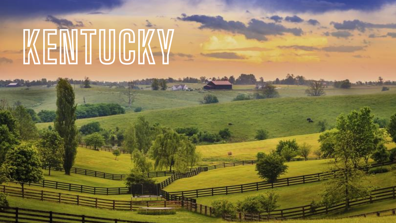 Portrait Artists Kentucky