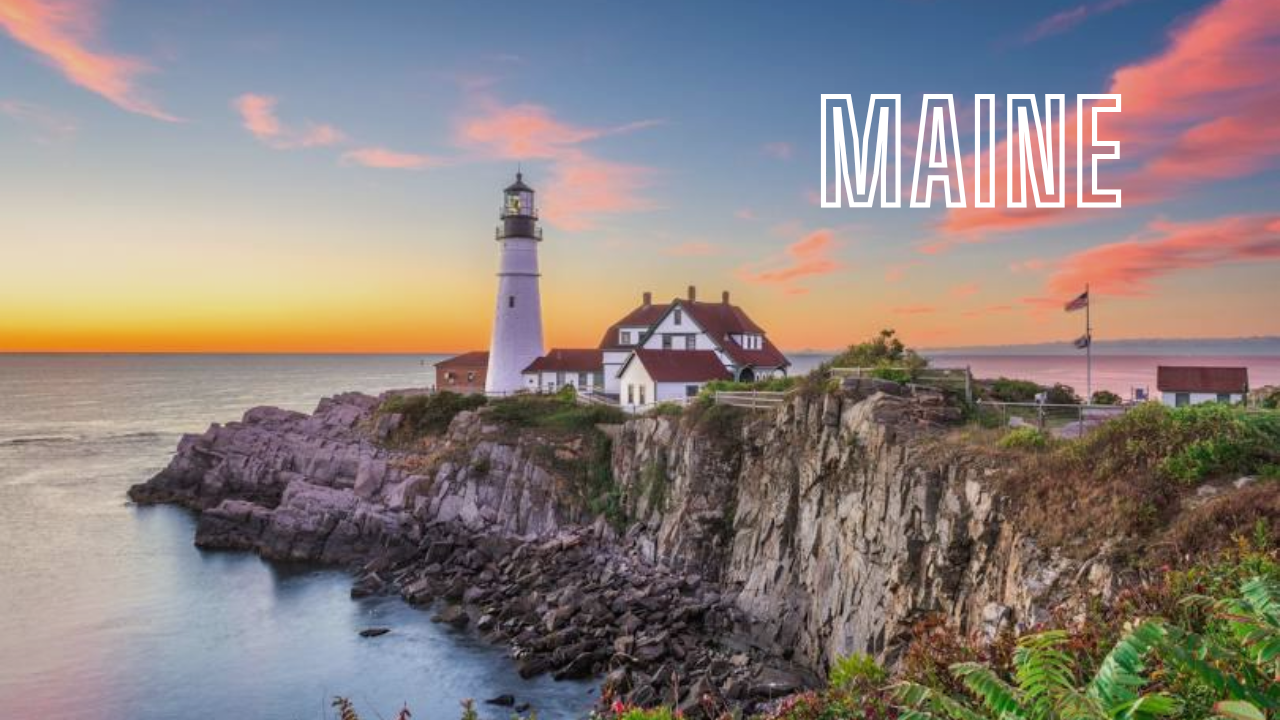 Maine Portrait Artists Maine