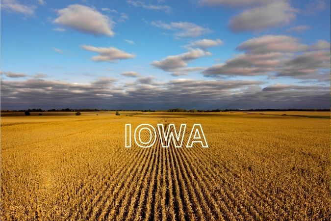 Portrait Artists Iowa