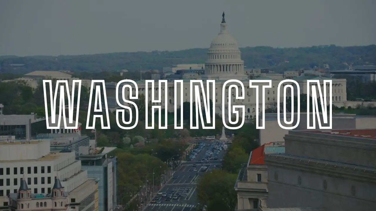 Portrait Artists Washington